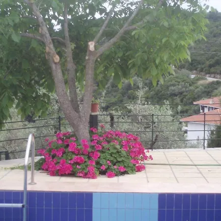 Pelagos Apartment *